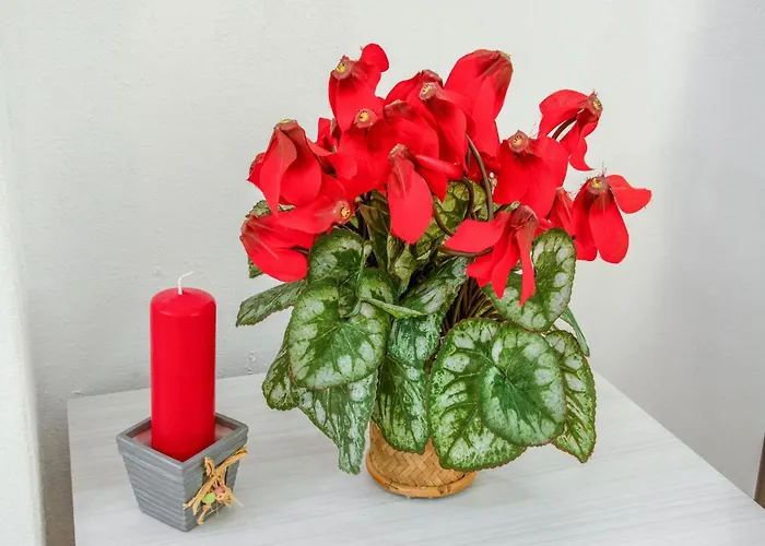 Cervinia Ski-in Ski-out Slopes